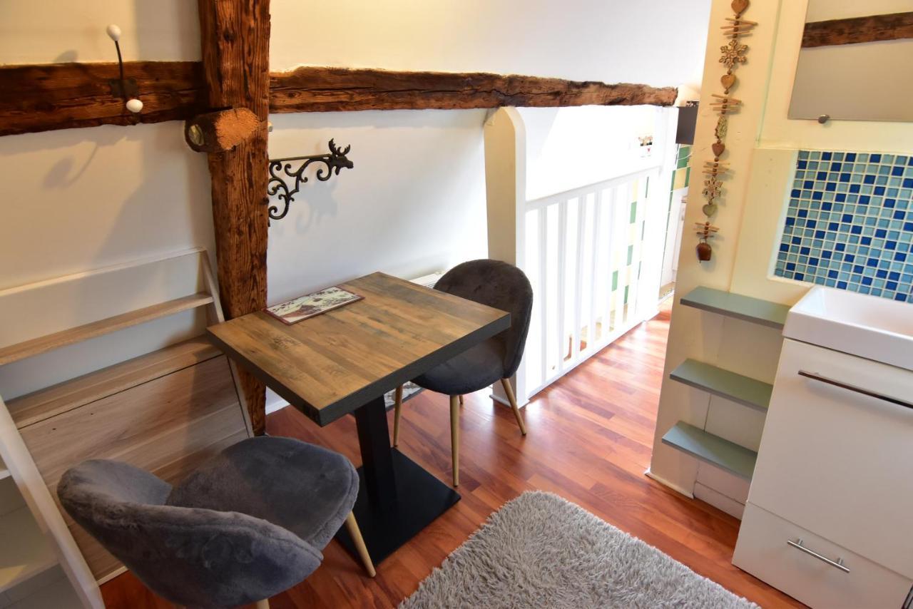 Le Duplex Carnot Daire Annecy Dış mekan fotoğraf