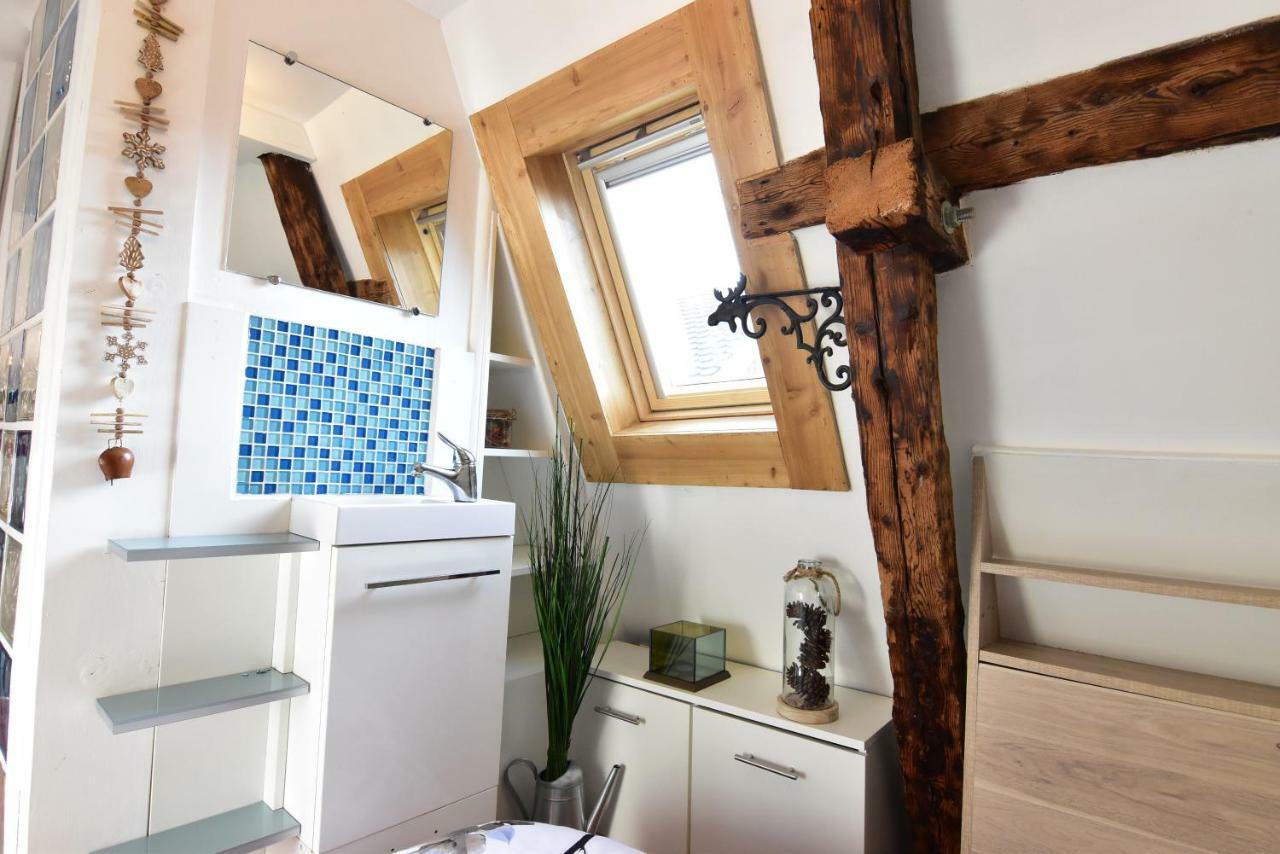 Le Duplex Carnot Daire Annecy Dış mekan fotoğraf